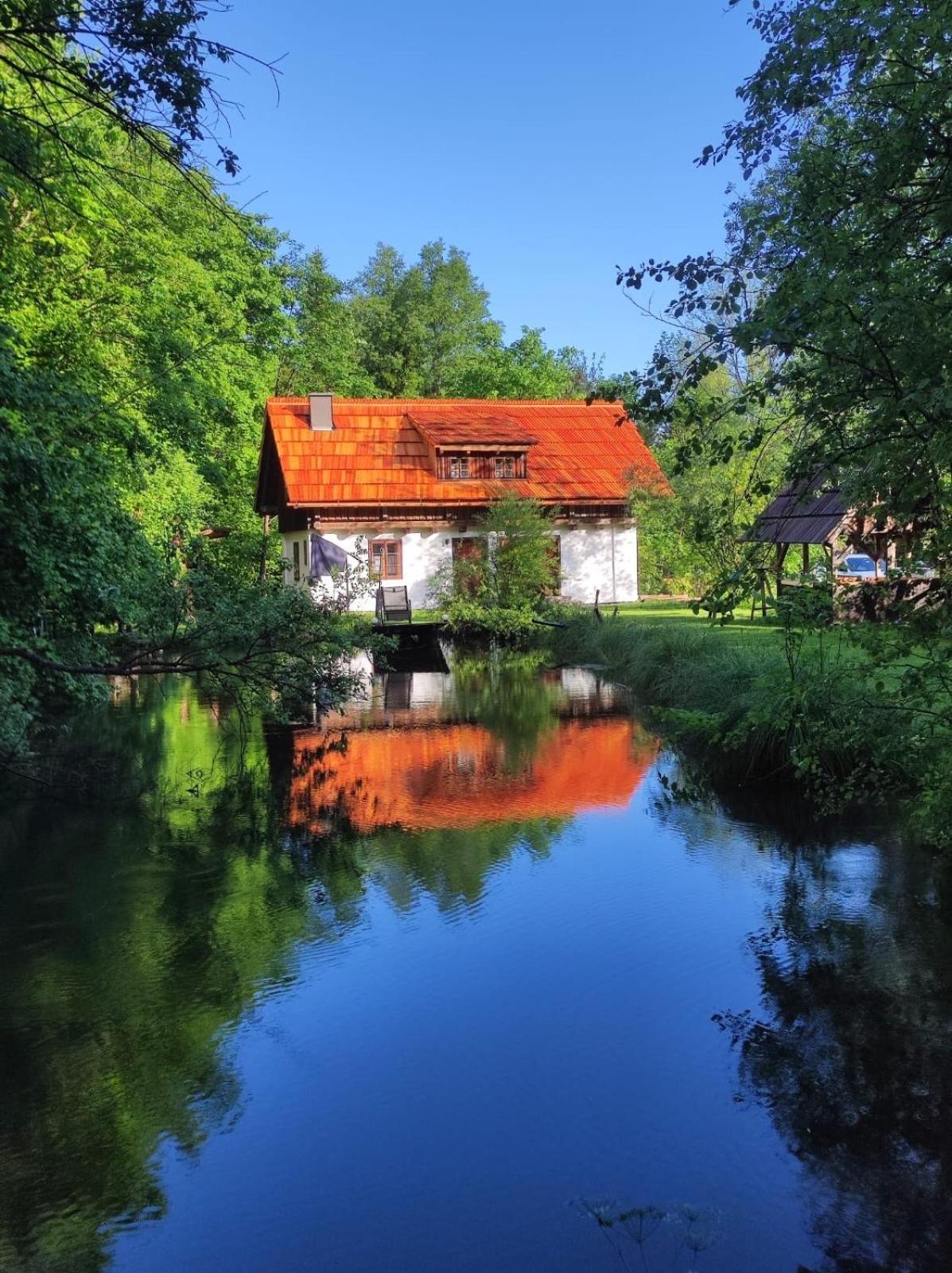 Ferienhaus Klopeinersee Kaernten Sittersdorf ภายนอก รูปภาพ